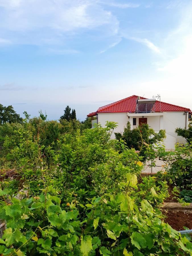 Xheko Rooms Dhermi Exterior photo